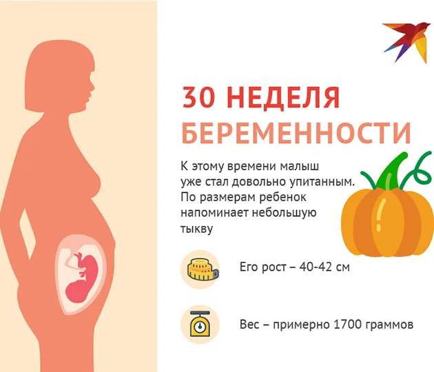 30-я неделя беременности