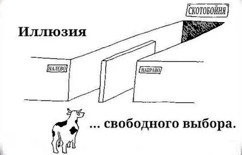 Иллюзия выбора