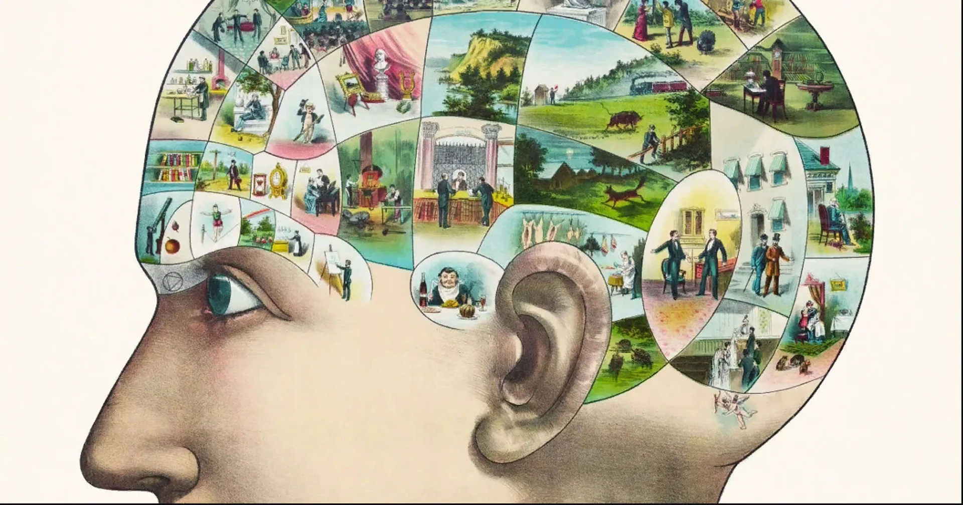 Ментальные репрезентации: что это такое?