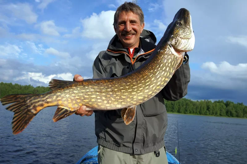 Можно ли есть российскую рыбу (и если да, то какую)