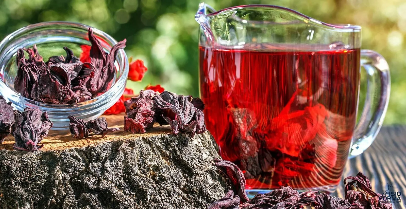 Напиток фараонов: полезные свойства чая каркаде