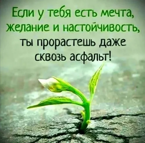 Повышение усидчивости и концентрации