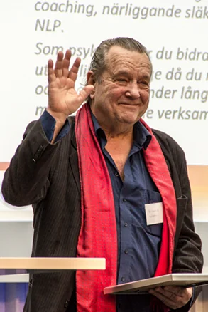 Вклад Бо Щеберга в НЛП