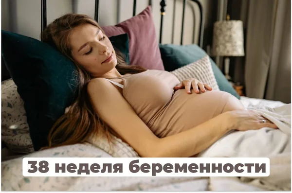 38-я неделя беременности