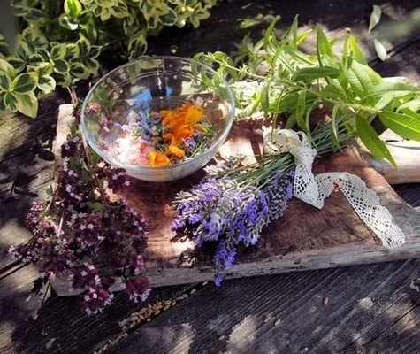 🌿 Магические Травы для Студентов 🌿