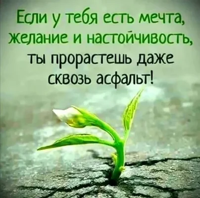 Повышение усидчивости и концентрации